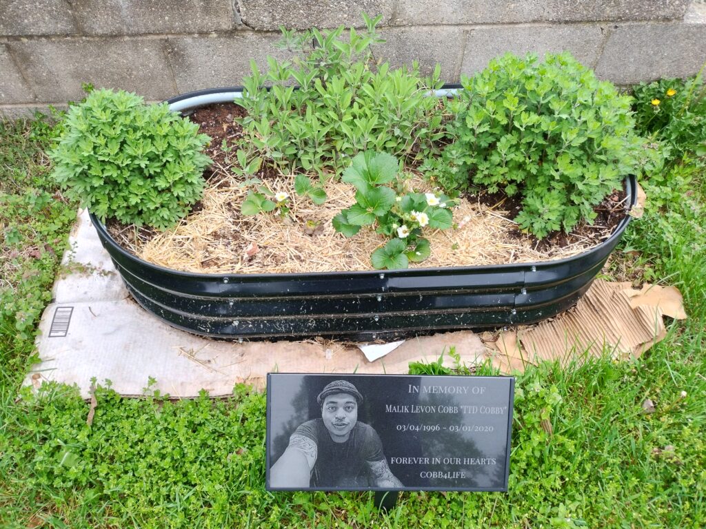 Malik's Memorial Garden